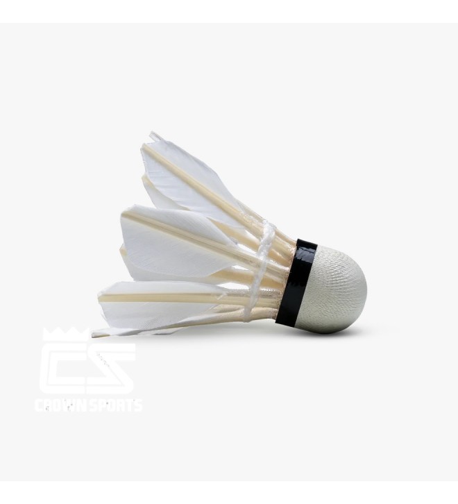 SHUTTLECOCK